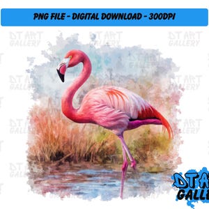 Prachtige flamingo vogel aquarel stijl clipart-digitale download-hoge kwaliteit png-bestand-perfect voor T-shirts, stickers, mokken en meer