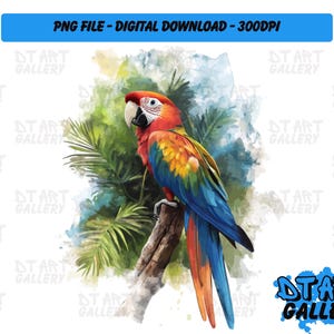 Prachtige papegaai vogel aquarel stijl clipart-digitale download-hoge kwaliteit png-bestand-perfect voor T-shirts, stickers, mokken en meer