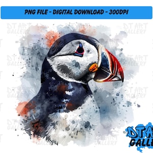 Tête d'oiseau macareux moine Clipart - téléchargement numérique - fichier PNG de haute qualité - parfait pour les T-shirts, autocollants, tasses et plus