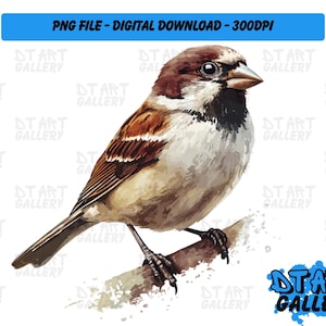 Prachtige mus vogel aquarel stijl clipart-digitale download-hoge kwaliteit png-bestand-perfect voor T-shirts, stickers, mokken en meer