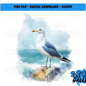 Seagull Bird Coastal Watercolour Style Clipart - Digital Download - High Quality PNG File - Perfect for T-shirts, Stickers, Mugs & More