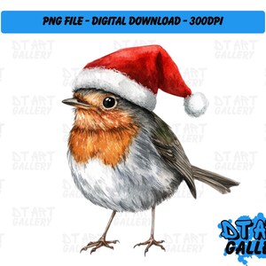 Chapéu de Papai Noel Robin Bird Natal Clipart temático de Natal - Download digital - Arquivo PNG de alta qualidade - Perfeito para camisetas, adesivos, canecas e muito mais