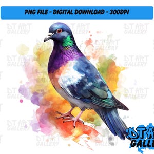 Prachtige duif vogel aquarel stijl clipart-digitale download-hoge kwaliteit png-bestand-perfect voor T-shirts, stickers, mokken en meer