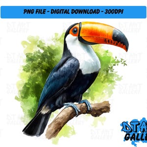 Prachtige toekanvogel aquarel stijl clipart-digitale download-hoge kwaliteit png-bestand-perfect voor T-shirts, stickers, mokken en meer