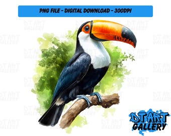 Beautiful Toucan Bird Watercolour Style Clipart - Digital Download - High Quality PNG File - Perfect for T-shirts, Stickers, Mugs & More