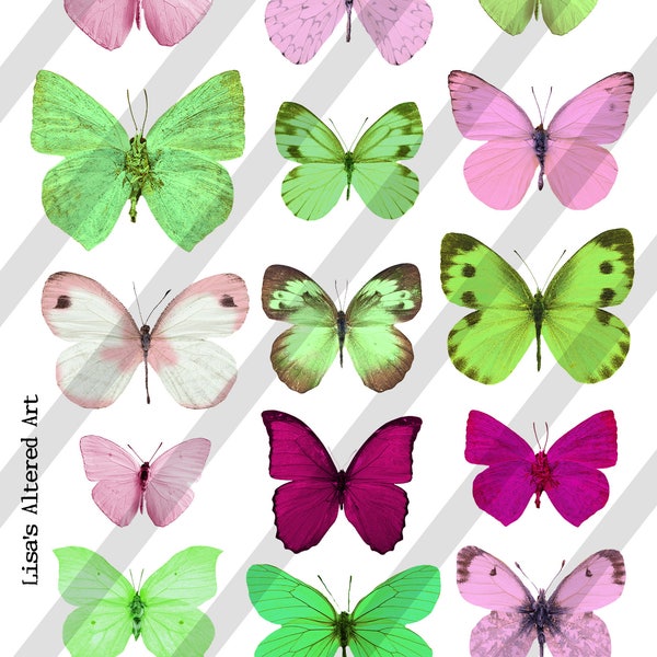 Digital Collage Sheet, Butterflies in pink and green (Sheet no. O258) Instant Download, PNG Sheet Included