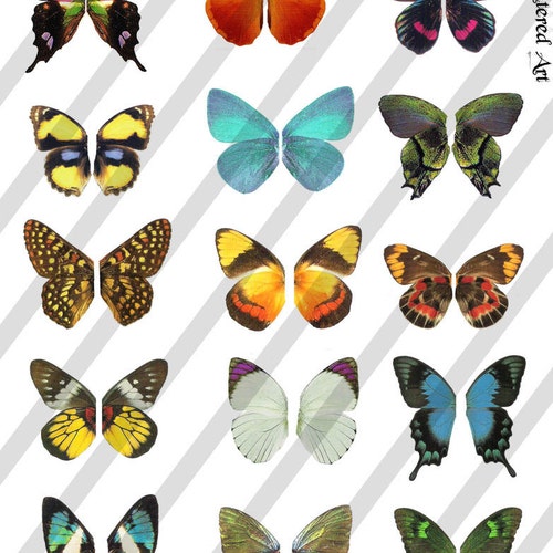 Butterfly Wings Digital Collage Set - Etsy
