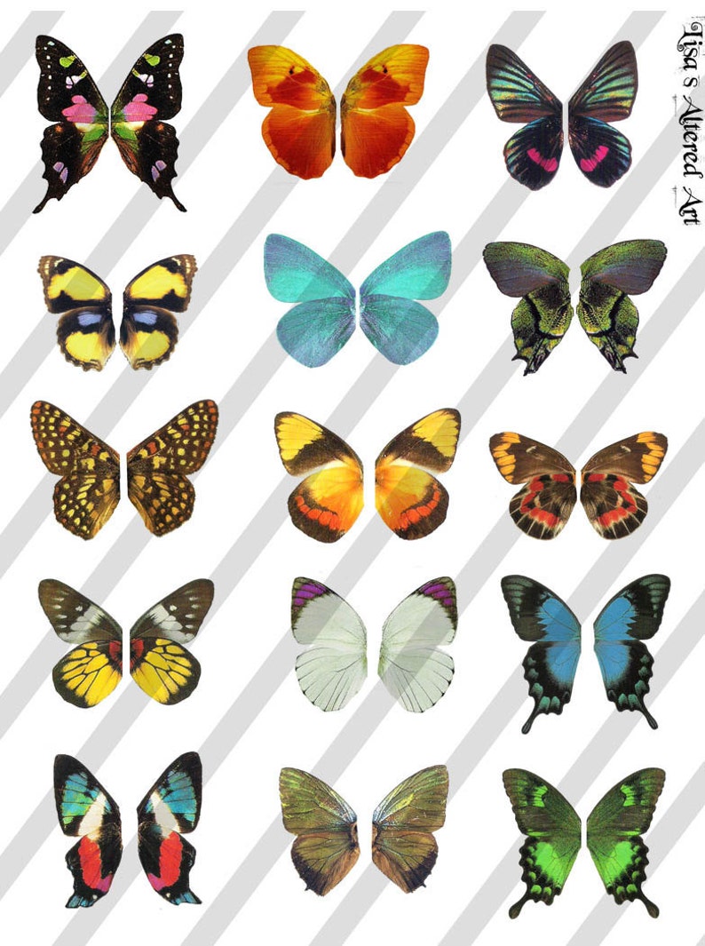 Digital Collage Sheet Butterfly Fairy Wings Sheet no. W15 Instant Download image 1