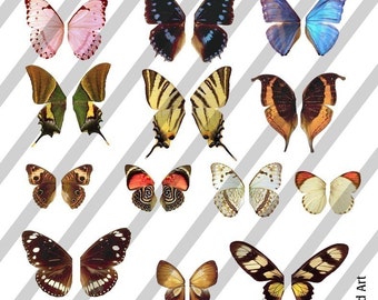 Digital Collage Sheet Wings (Sheet no. W3) Instant Download