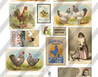 Digital Collage Sheet  Vintage Images Chickens Roosters (Sheet no. O118) Ephemera-Instant Download