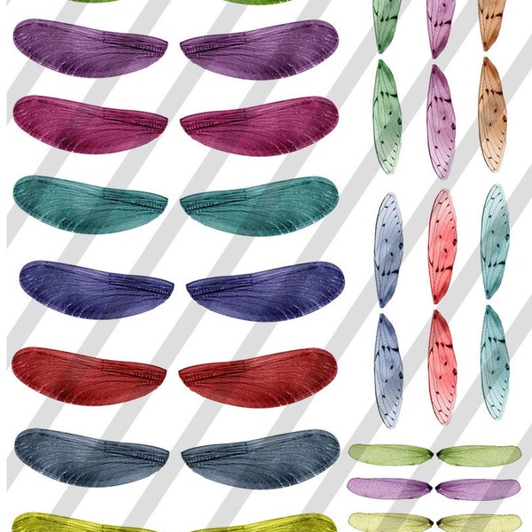 Digital Collage Sheet Colorful Dragonfly Wings  (Sheet no. W8) Instant Download