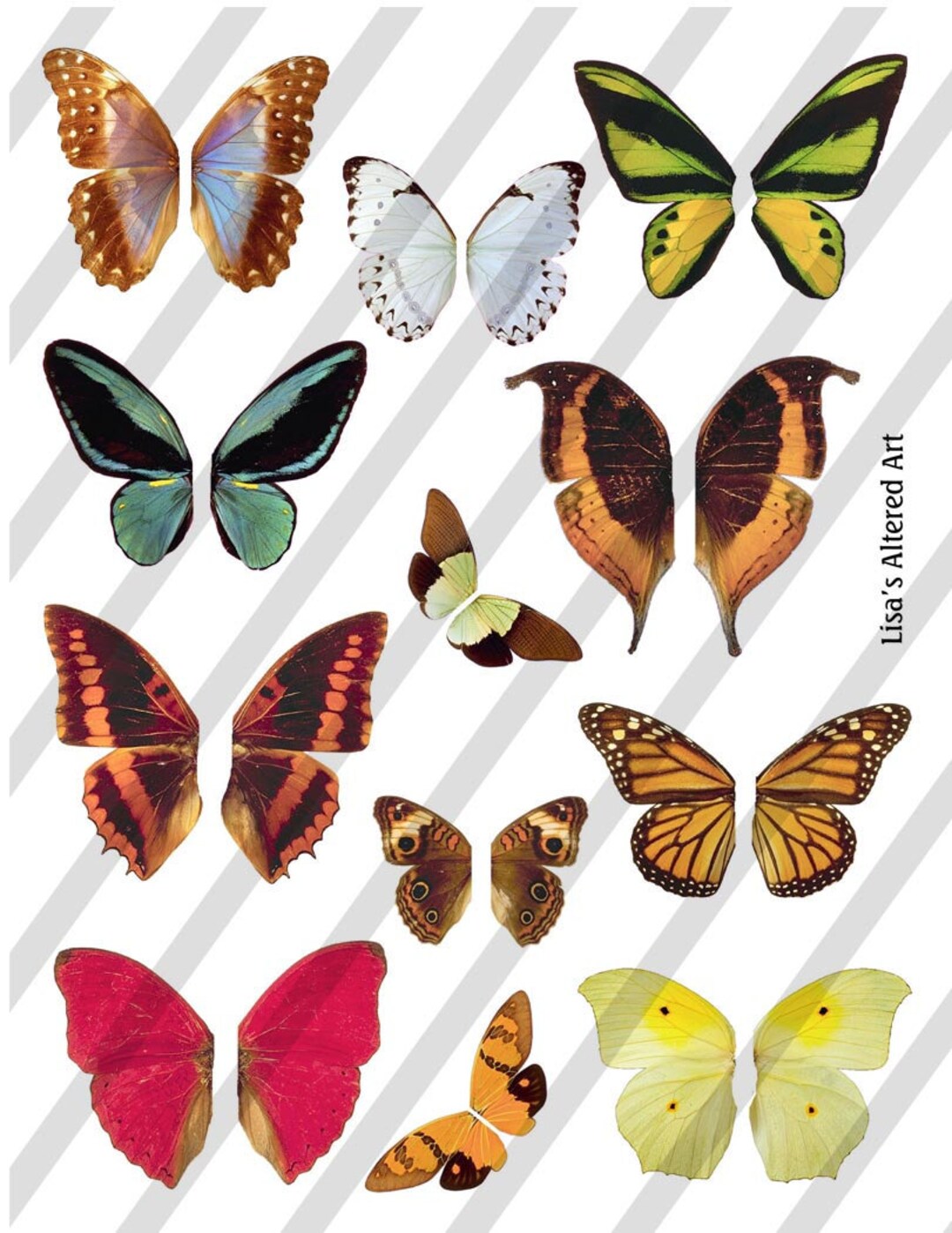 Digital Collage Sheet Butterfly Fairy Wings No. 6 sheet No. W6 Instant ...