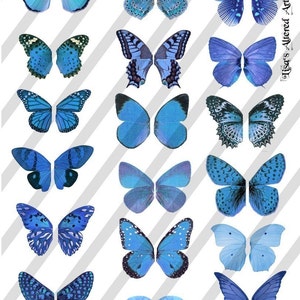 Digital Collage Sheet Blue Butterfly Fairy Wings (Sheet no. W23) Instant Download
