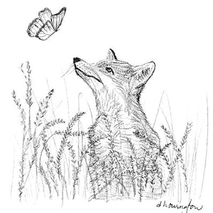 Hand drawn woodland animals, Wildlife cards and prints, Gifts for animal lovers, Nursery wall art, Nature theme, Home decor