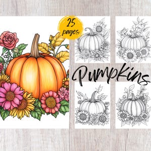 25 Floral Pumpkin Coloring Pages, Printable Coloring Book PDF, Flower Coloring Pages, Kids And Adults Coloring Book, Halloween Coloring Book