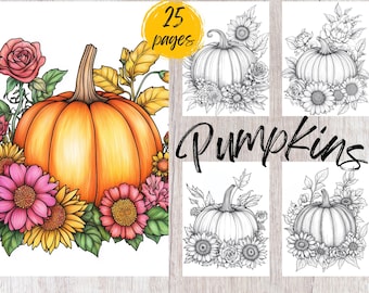 May include: A coloring book with 25 pages featuring pumpkins with flowers. The cover shows a large orange pumpkin with pink and yellow flowers. The title "Pumpkins" is written in black cursive.