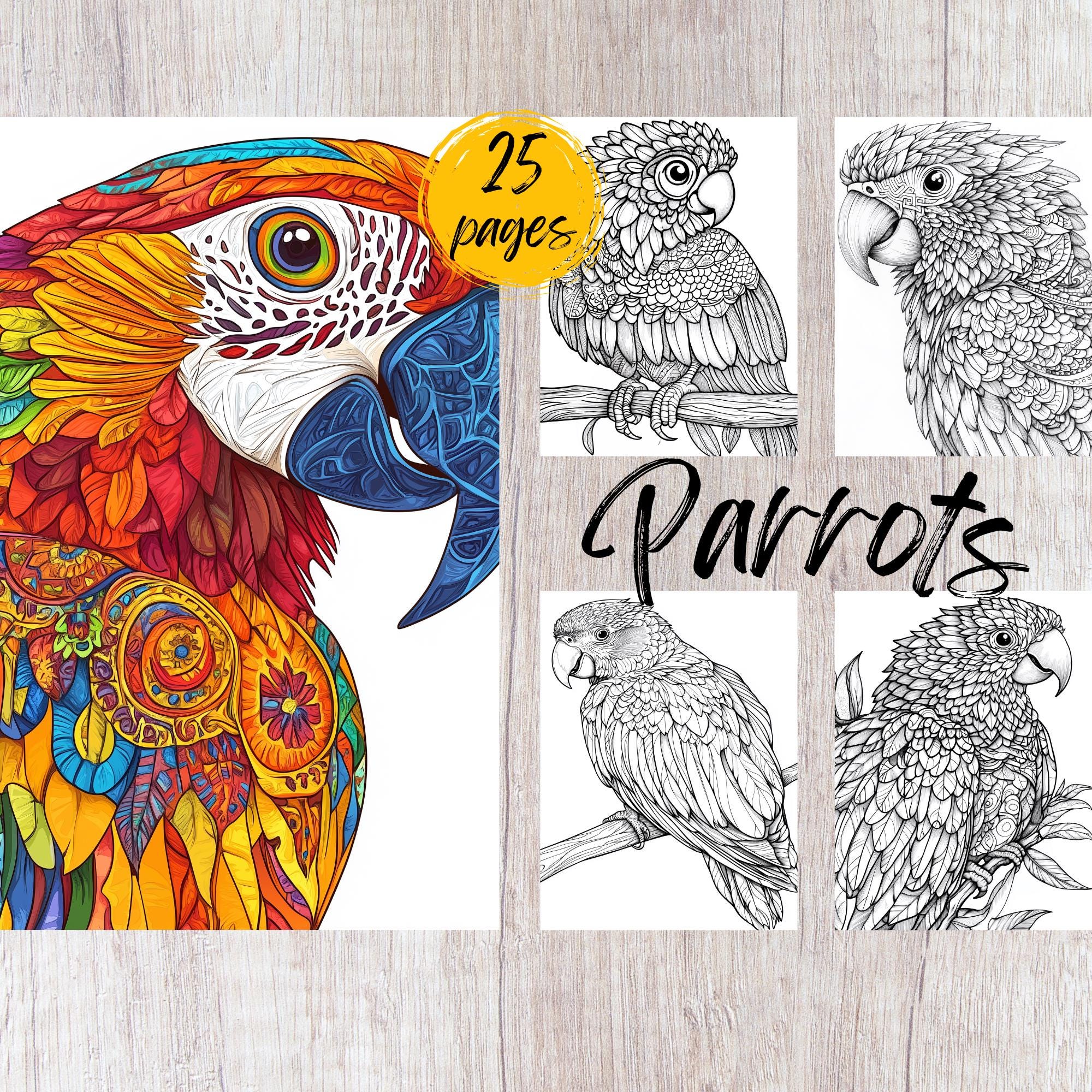 25 Parrot Coloring Pages, Printable Coloring Book PDF, Mandala