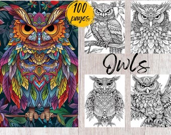 Op de afbeelding: Een kleurboek met ingewikkelde illustraties van uilen. De omslag toont een kleurrijke uil met een gedetailleerd patroon. Het boek bevat 100 pagina's en de tekst "Owls" is geschreven in een decoratief lettertype.