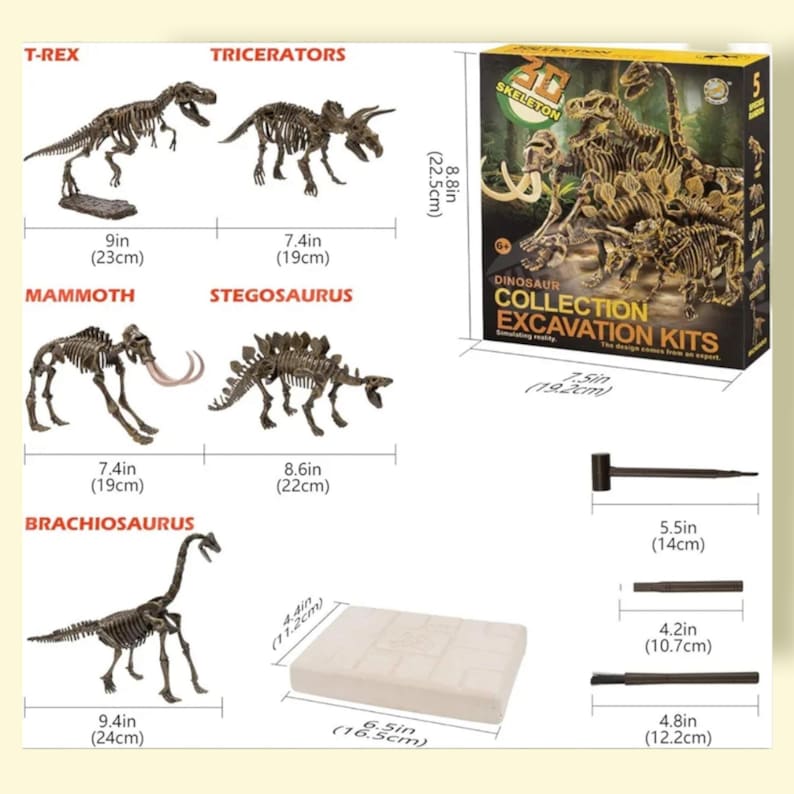 Dinosaur Skeleton Digging Kit for Kids - Excavation Fossil Set for Boys ...