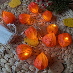 LED Lichterkette mit Lampionblumen | 10 warmweiße LED mit Timer | Handgemacht mit Baumwollsäckchen & Zubehör | Herbstdeko | Physalis