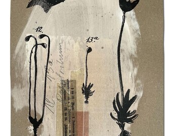 Polytrichum. Eine zarte Komposition auf Papier, mit einer Vintage-Illustration der Polytrichum-Pflanze, auf handbemaltem Recycling-Papier.