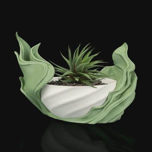 May include: A white, spiraled, bowl-shaped planter nestled within a sage green, wavy, leaf-like decorative base. A small, spiky, dark green succulent plant with pointed leaves is planted inside the white bowl, which contains dark soil.