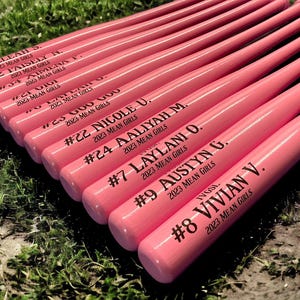 18" Personalized Baseball Bat Custom Baseball Bat Engraved Bat Engraved Baseball Bat Coaches Bat Trophy Award Team Baseball Bat BIRCH18P