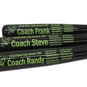 18&quot; Personalized Baseball Bat Custom Baseball Bat Engraved Bat Engraved Baseball Bat Trophy Bat Players trophy Bat Coaches Bat BIRCH18P