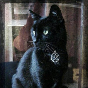Witches Familiar Pentacle Cat Collar Adjustable in Black - Etsy