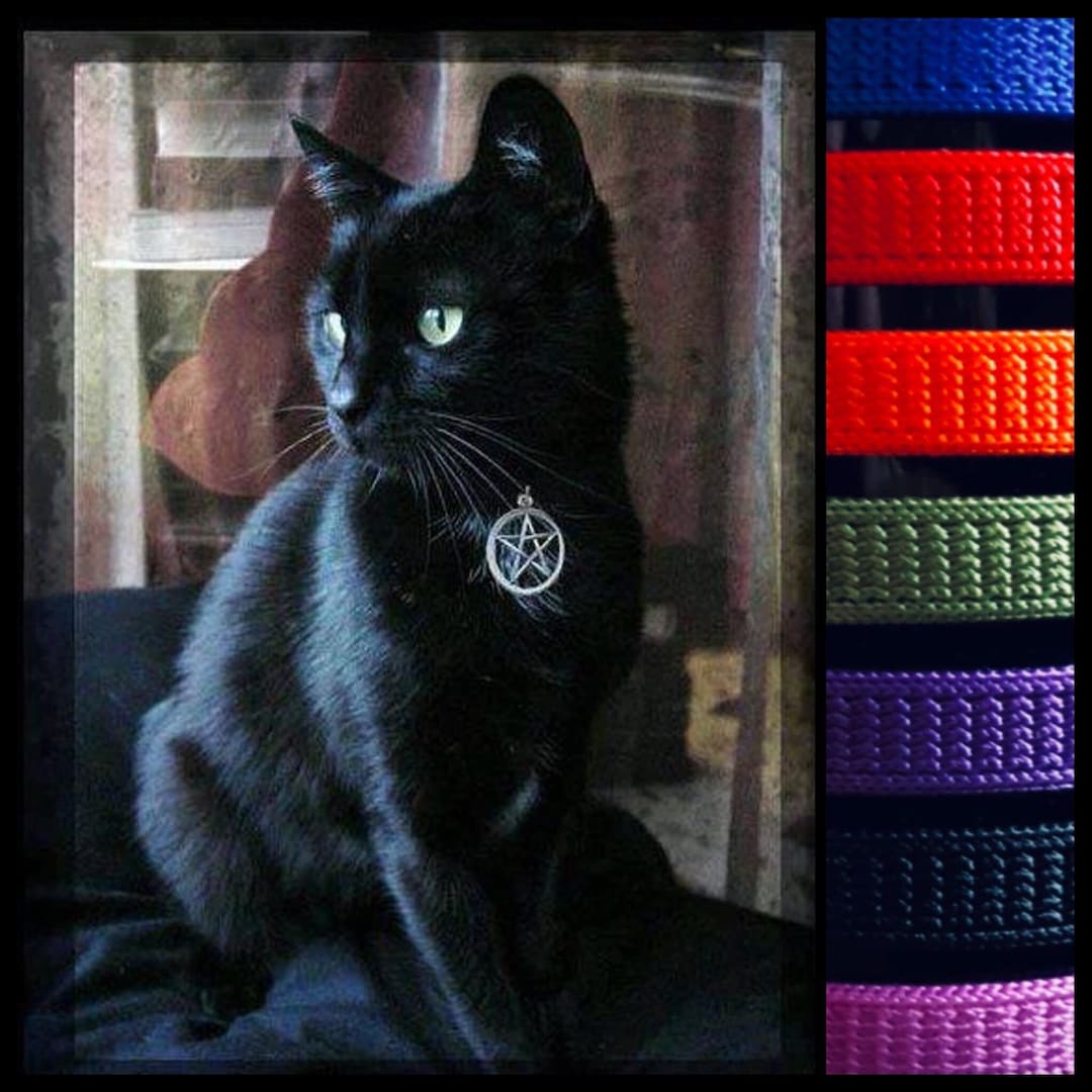 Witches Familiar Pentacle Cat Collar: Adjustable Pentacle Charm