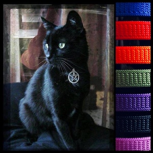 Witches Familiar Pentacle Cat Collar Adjustable in Black, Blue, Orange, Orchid, Purple, Red, Sage Green image 1