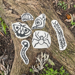 May include: Black and white drawings of a butterfly, snail, spider, worm, and centipede on a tree trunk.