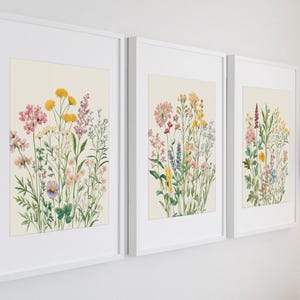 Conjunto de tres impresiones artísticas digitales de herbario de flores prensadas, arte de pared botánico, decoración floral moderna, decoración natural del hogar, descarga digital