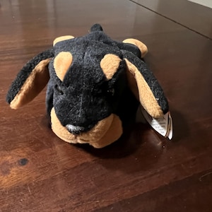 May include: A plush toy dog in a lying down position. The dog is black with tan markings on its ears, snout, and around its eyes. The toy has a tag attached to its ear.
