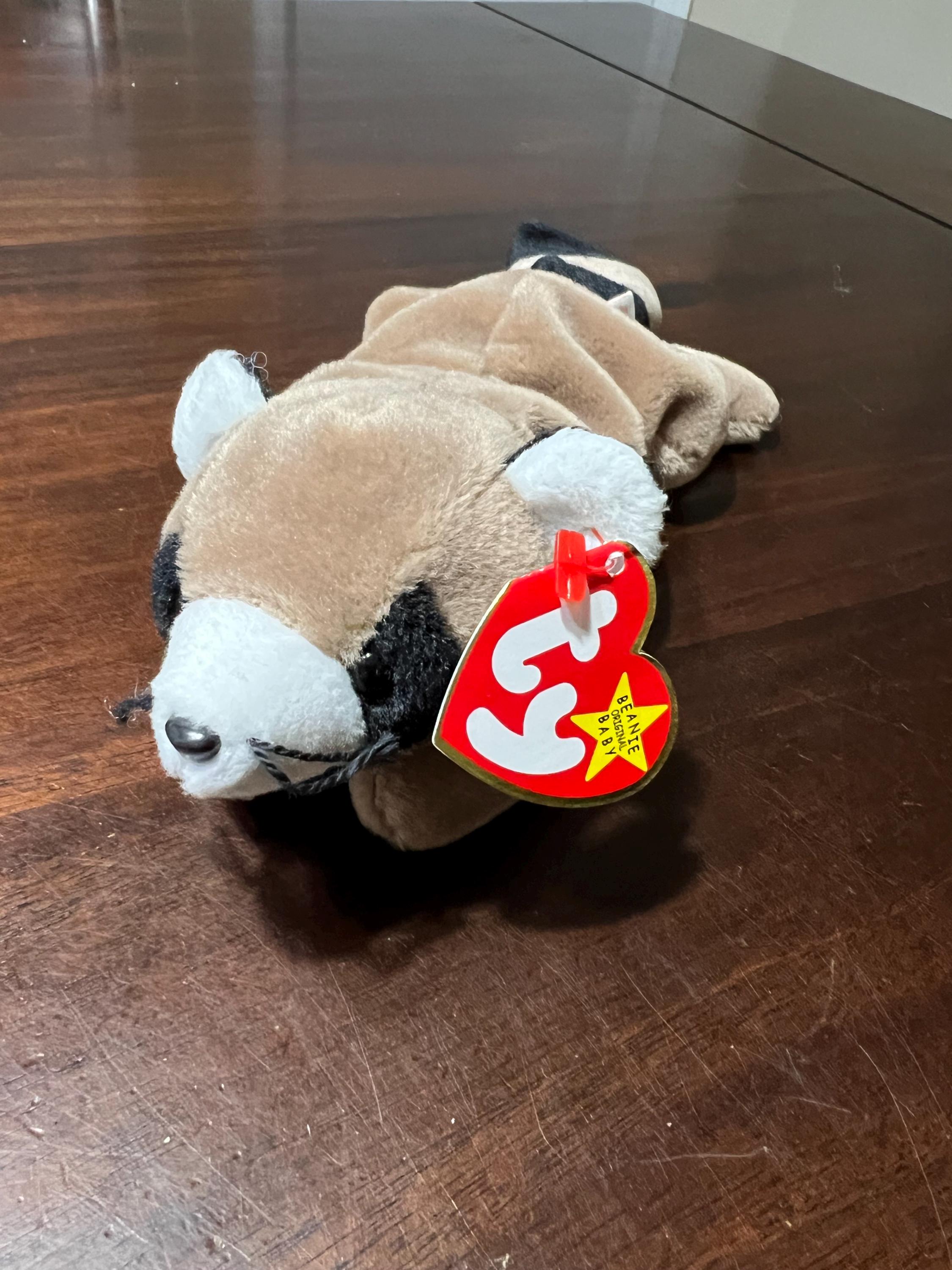 Bank Robber Raccoon Australia