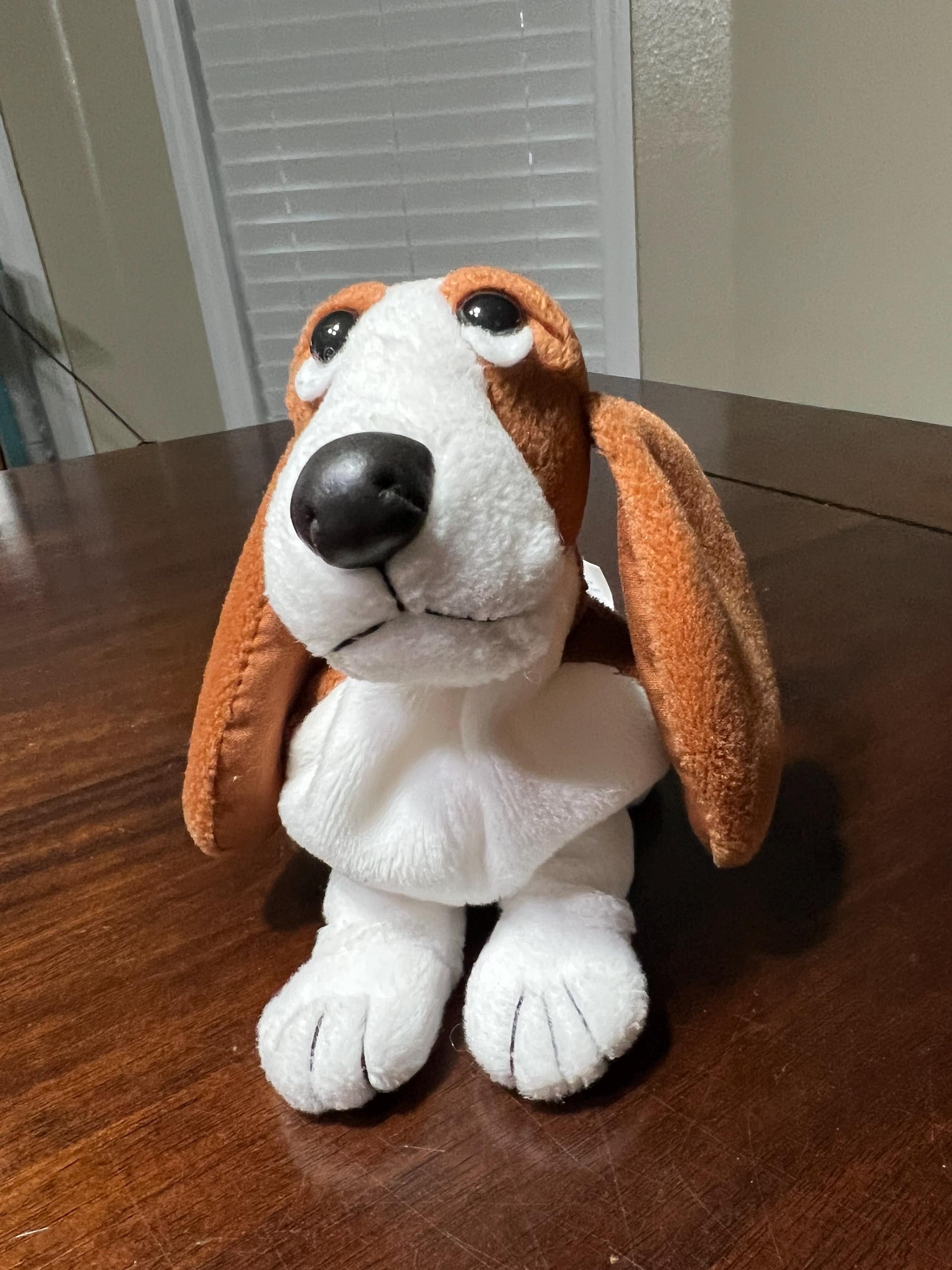 Hush puppies perro España