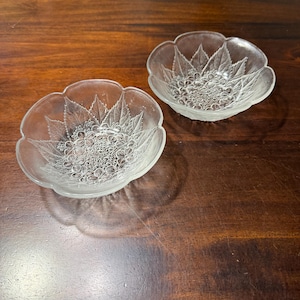 Hoya Cordial Glass - Etsy