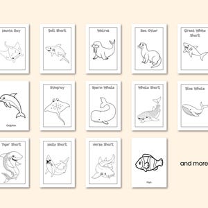 Op de afbeelding: Een verzameling ge&iuml;llustreerde kaarten met verschillende zeedieren, waaronder een manta rog, dolfijn en walvishaai. Elke kaart toont een zwart-wit tekening met de naam van het dier. De zin "and more..." is ook zichtbaar.
