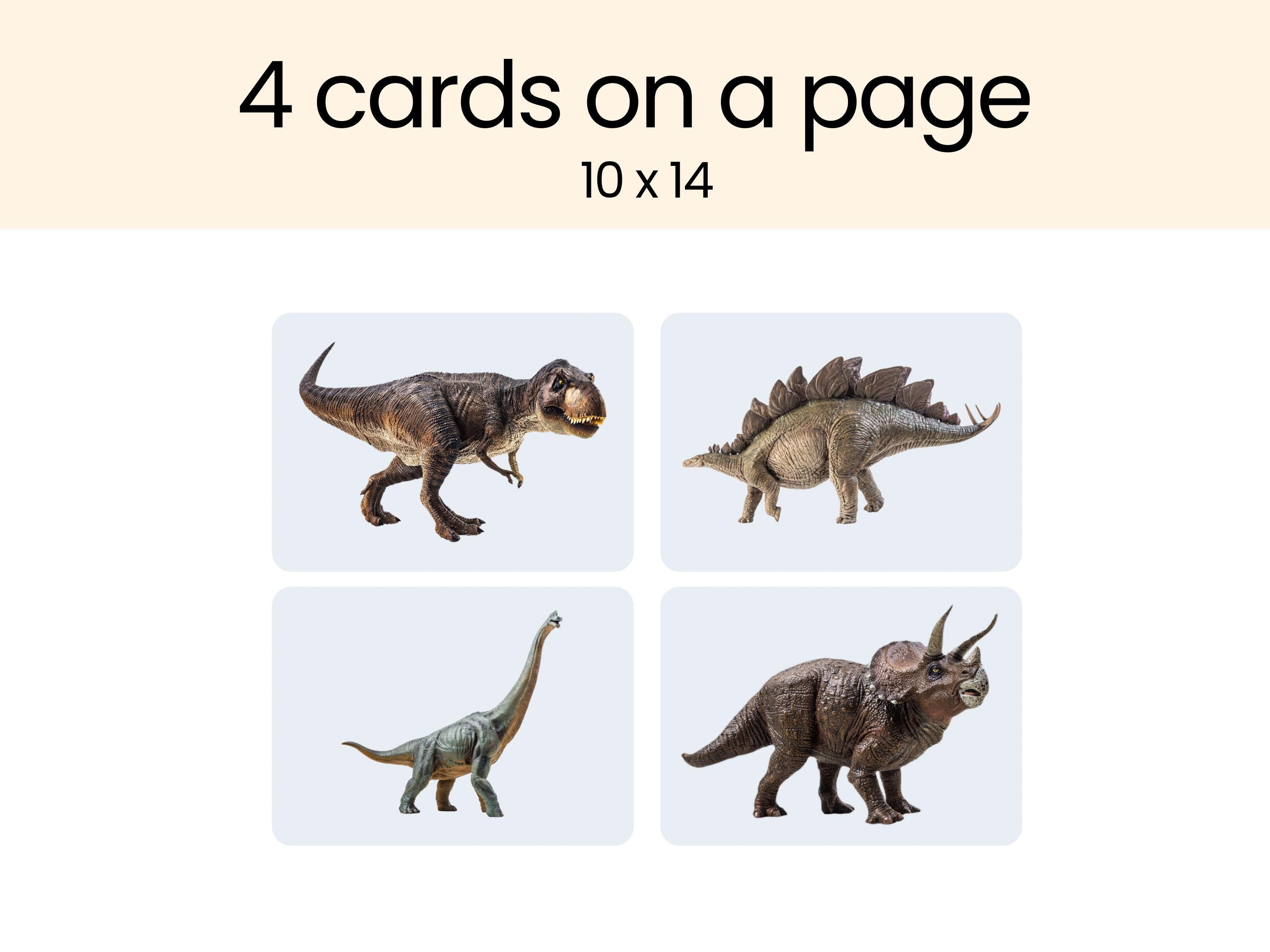 Dinosaur Flashcards Toddler Learning Materials For Preschool Curriculum
