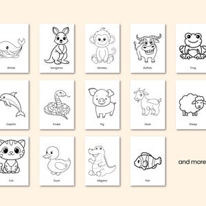 May include: A collection of white cards featuring black and white illustrations of various animals, including a whale, kangaroo, monkey, buffalo, and frog. Each card has the animal's name printed below the image.