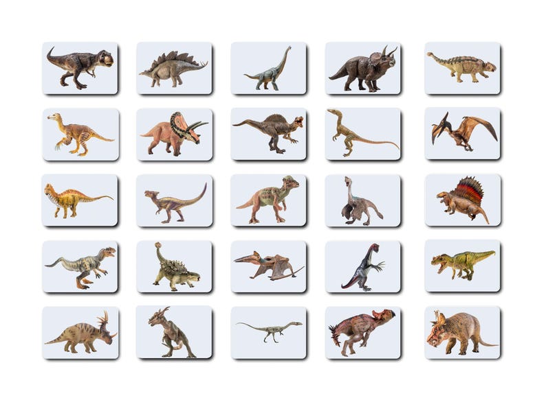 Dinosaur Flashcards Toddler Learning Materials For Preschool Curriculum
