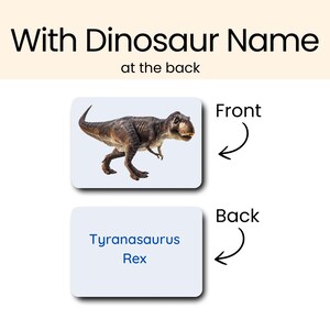 Dinosaur Flashcards Toddler Learning Materials For Preschool Curriculum