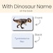 Dinosaur Flashcards Toddler Learning Materials For Preschool Curriculum