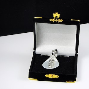 May include: A silver seahorse pendant necklace in a black velvet jewelry box with a gold latch.