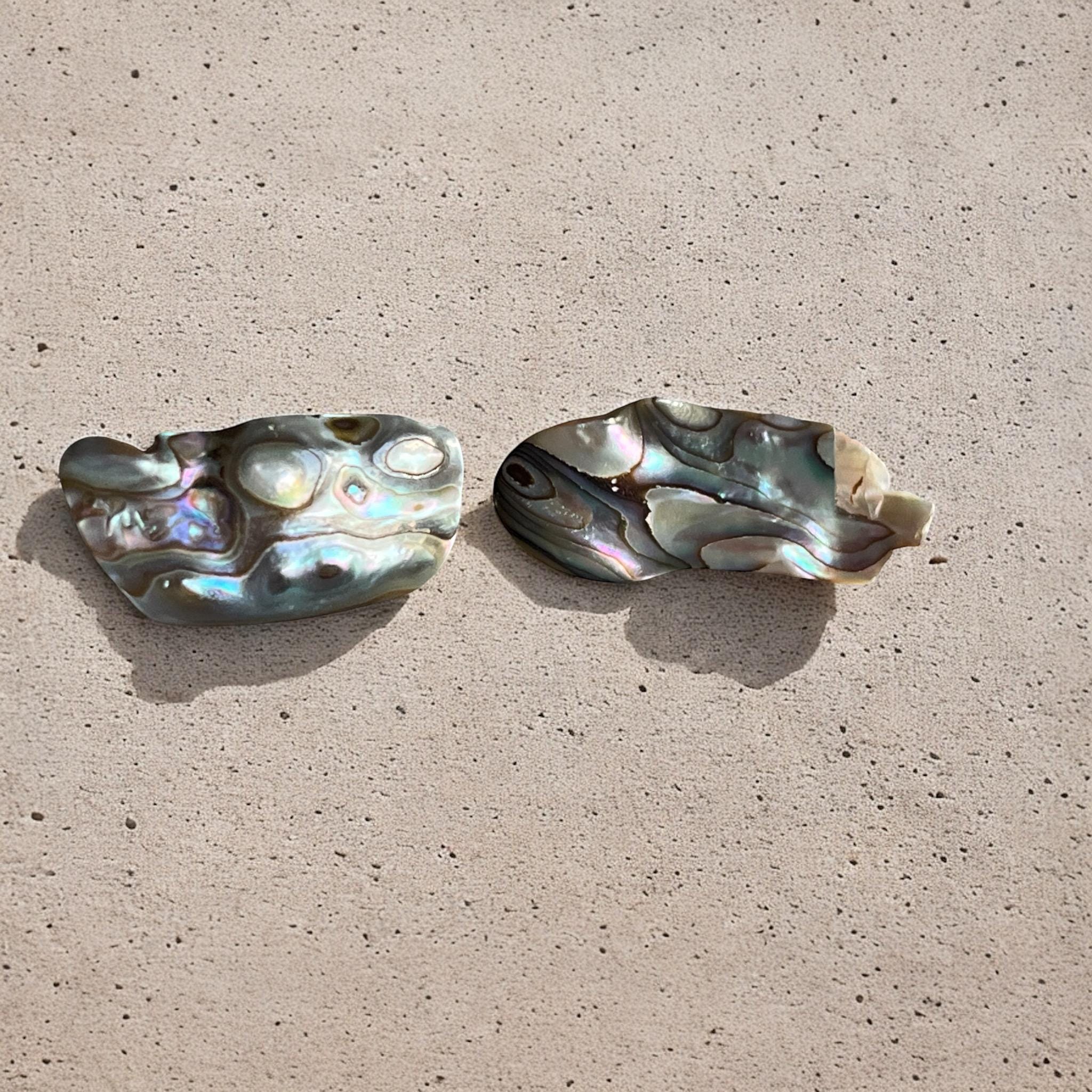 Orecchini Clip On Rotondi In Lucite E Abalone Effetto Conchiglia - Tonalità Oro