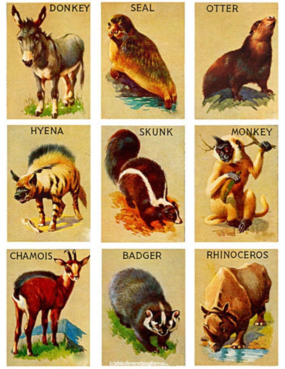 Printable vintage animal cards collage sheet digital download Etsy