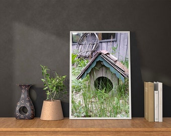 old dog house branches chair Montana photograpy wall art print digital instant download image 8.5" x 11"