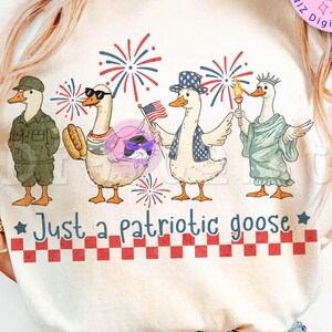 Retro Patriotic Goose PNG, 4th of July Silly Goose Png, USA Goose Sublimation Design,  Funny USA png,Cartoon Goose Png, Independence Day Png