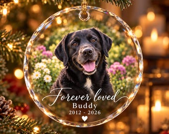 Personalized Dog Memorial Ornament, Custom Pet Loss Gift, Dog Sympathy Christmas Ornament, Pet Remembrance Keepsake, Loss of Dog Gift