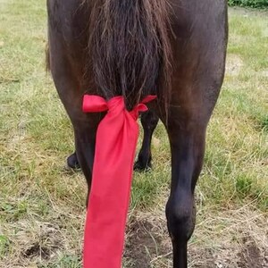 Red Horse staarttas, paardenstaarttas, paardenstaartwikkel, paardenkopspijker, paardencadeaus, staarttas, staarttas voor paarden, paardenmeisje, paardenmeisjes